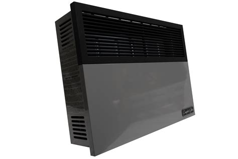 Comfort Glow 25000 Btu Propane Wall Mounted Space Heater With