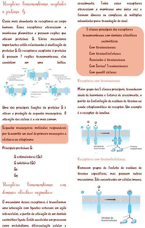 Tipos De Receptores De F Rmacos Farmacologia I