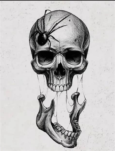 Pin by Julia Krik on Черепа Skulls drawing Skull art drawing