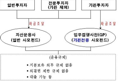 사모펀드 투자자 제한 49→100명 완화 10룰 폐지 한국경제