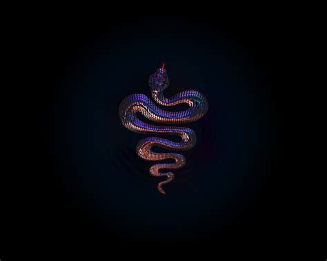 HD Snake Wallpaper - WallpaperSafari