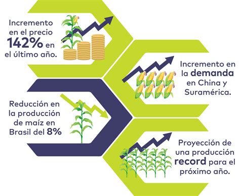 Tendencias De Mercado Global De Maíz Blog Cambiagro