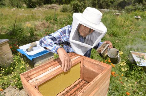 Promoviendo Emprendimientos Innovadores Y Sostenibles En Ecosistemas De