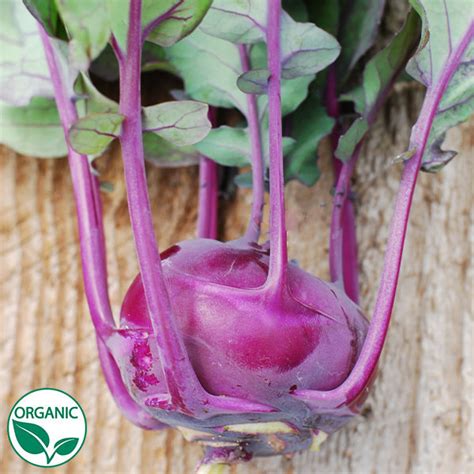 Azur Star Organic Kohlrabi Seeds Osborne Farm Seed Supplier