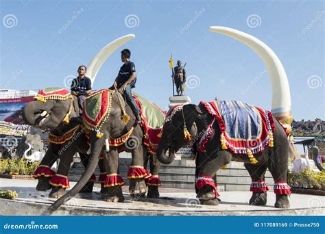 THAILAND ISAN SURIN ELEPHANT FESTIVAL ROUND UP Editorial Stock Image ...