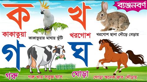 বাংলা ব্যঞ্জনবর্ণ ক খ গ ঘ Bangla Banjonborno क अ ग ह Bangla Bornomala Learn Bengali