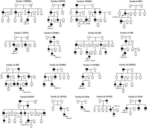 Targeted Exome Sequencing Of Congenital Cataracts Related Genes