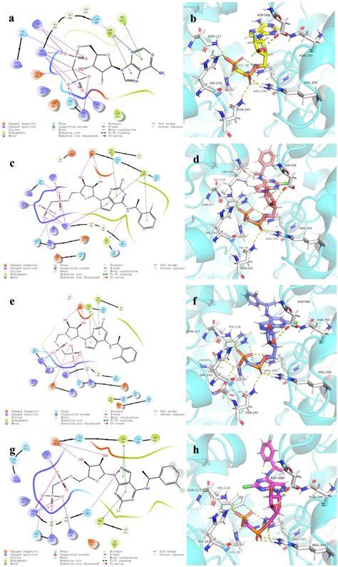 Binding Mode Of Compounds In The Active Pocket Of Z B A D Ligand