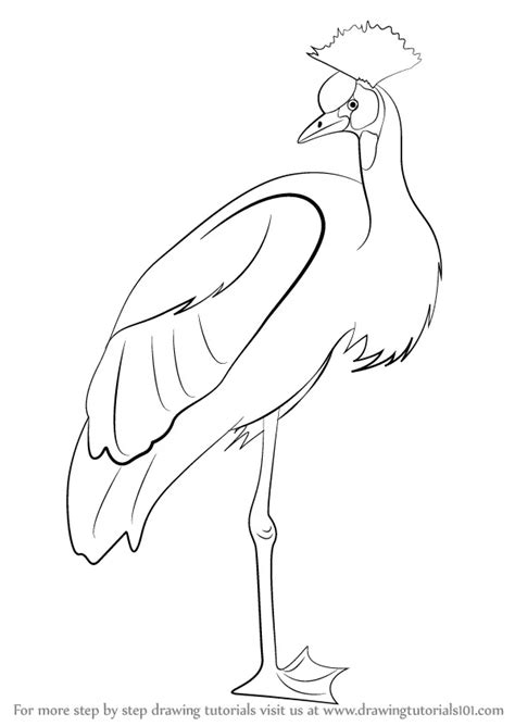 Learn How To Draw A Crowned Crane Birds Step By Step Drawing Tutorials