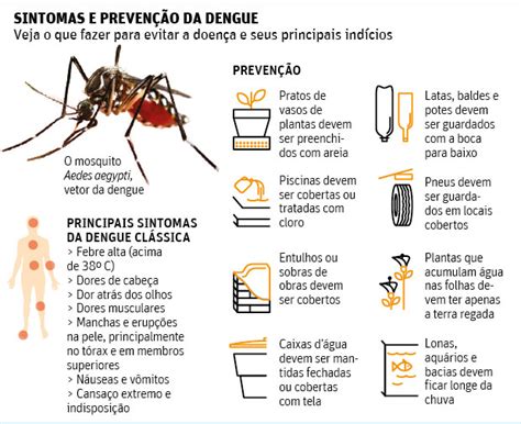 Vacina Contra A Dengue Pode Ficar Pronta Um Ano Antes Do Previsto 25