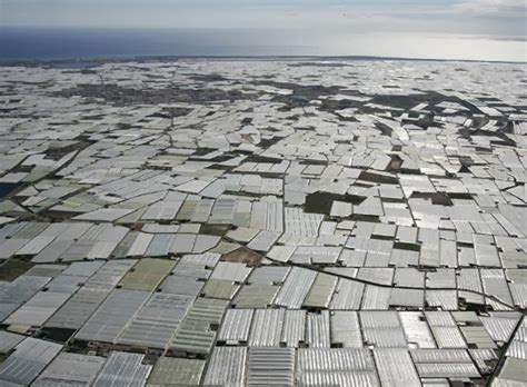 Rural Contempor Nea Documental A Os De Invernaderos En Almer A