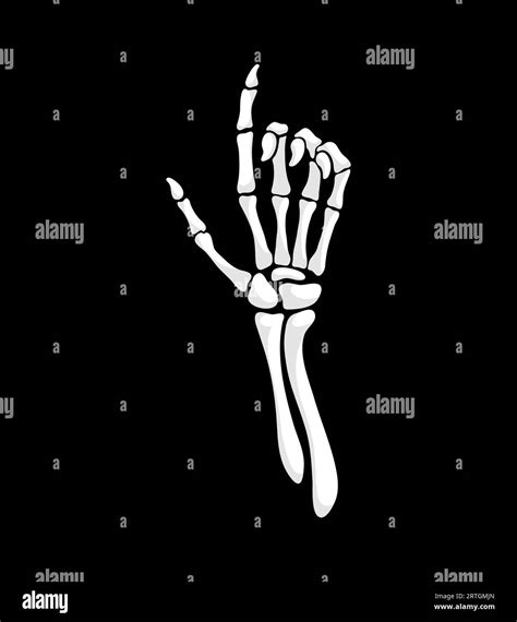 Skeleton Hand Making Pointing Up Gesture Isolated Vector Skeletal Palm