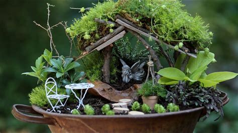 Captivating Indoor Moss Garden Ideas