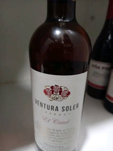 Ventura Soler El Crisol Rosat Vivino US