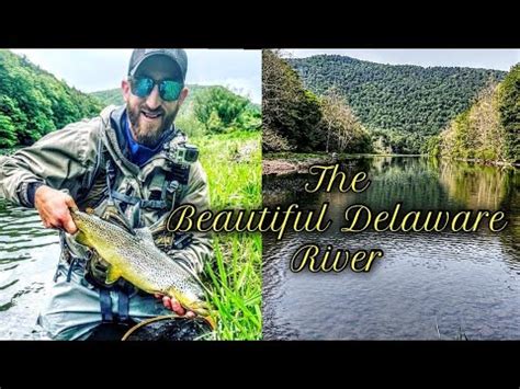 Catskills Fly Fishing East Branch Delaware River YouTube