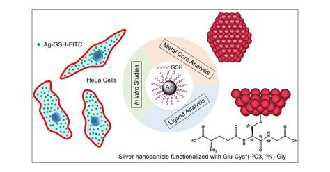 Metalligand Interface And Internal Structure Of Ultrasmall Silver