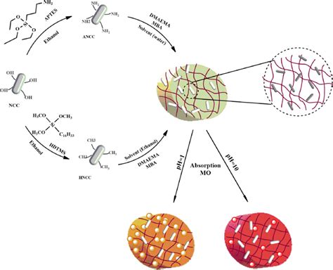 Fabrication Route And Mo Dye Absorption Of Nanocomposite Hydrogels