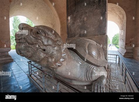 Stone Turtle Statue In Shen Gong Sheng De Stele Pavilion Sacred Way Of