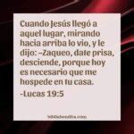 Explicación Lucas 19 5 Cuando Jesús llegó a aquel lugar mirando