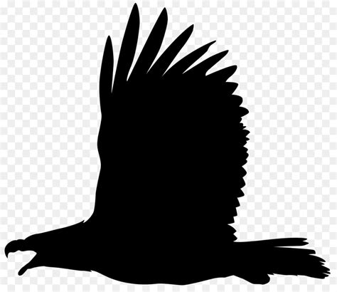 Philippine Eagle Silhouette at GetDrawings | Free download