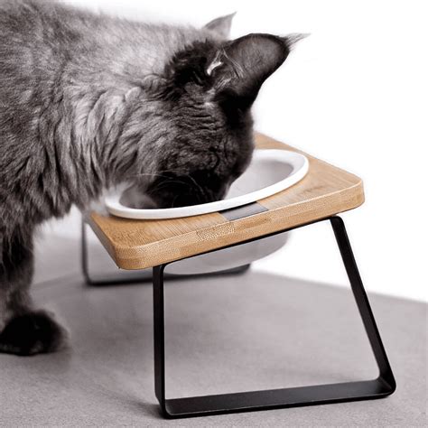 The Best Elevated Cat Bowls For Easy Eating