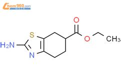 2 氨基 4 5 6 7 四氢苯并 d 噻唑 6 羧酸乙酯 Ethyl 2 amino 4 5 6 7 tetrahydrobenzo d