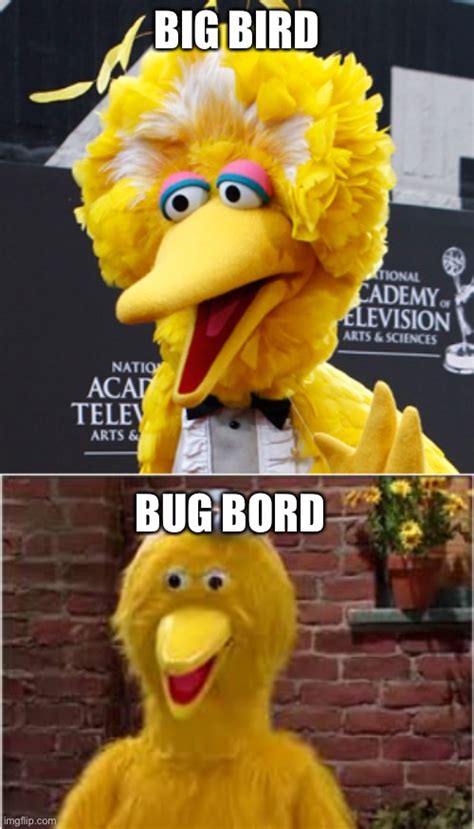 Image Tagged In Memes Big Bird Sesame Street Celebrity Funny Funny