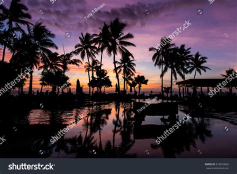 Fiji Dusk Silhouettes Palm Trees Reflected Stock Photo 614673665