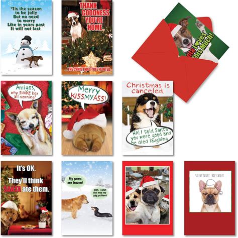 Amazon Nobleworks Funny Assorted Christmas Cards Boxed