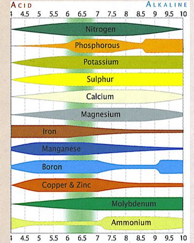 Ph Chart for Soil and Hydroponics