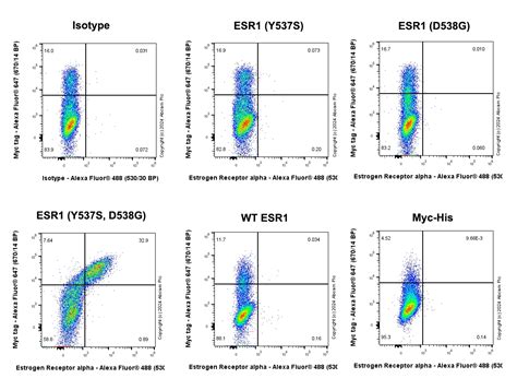 Anti Estrogen Receptor Alpha Mutated Y S D G Antibody Epr