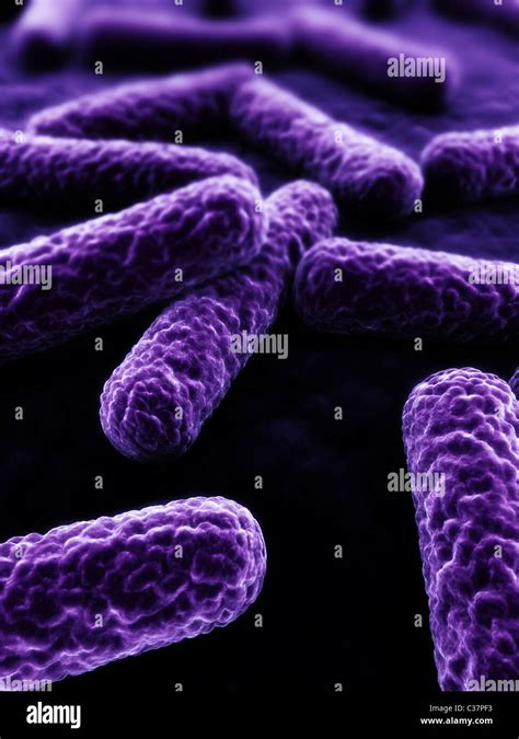 Pathogen Bacteria High Resolution Stock Photography And Images Alamy