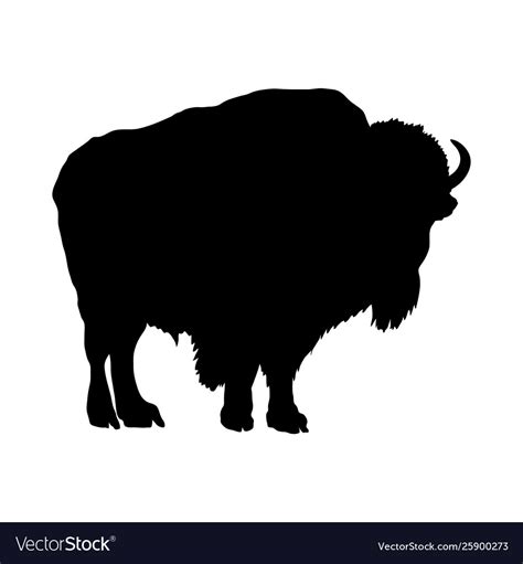 Yak silhouette Royalty Free Vector Image - VectorStock