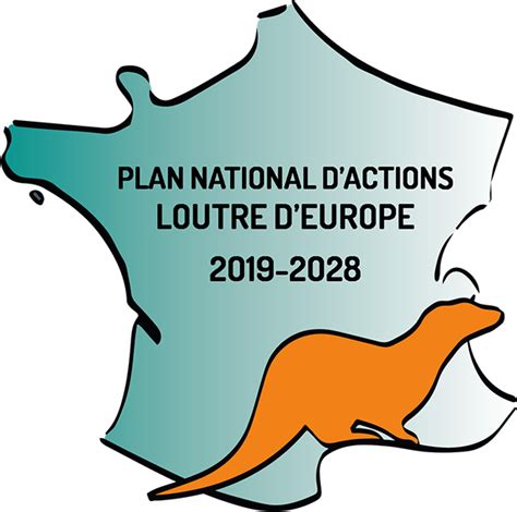 Plan National D Actions En Faveur De La Loutre Les Dessous De Cette