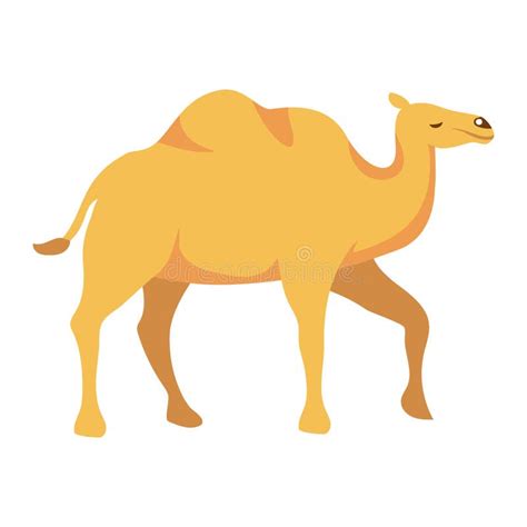 Camel Dromedary Animal Icon Stock Illustration Illustration Of Mammal