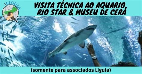 Visita Técnica ao AquaRio Museu de Cera e à RioStar no dia 27 09 2021