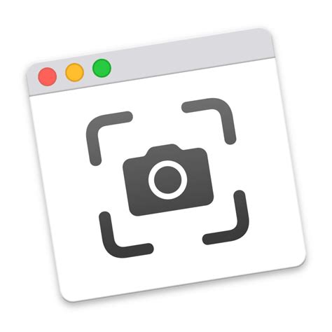 Screenshot Icon