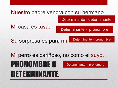 Pronombre Determinante Material Adaptado Ppt