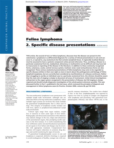 Feline lymphoma 2. Specific disease presentations