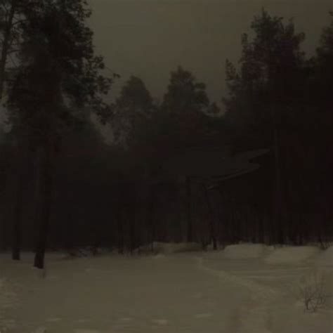 Создать мем "ночью в лесу, мрачный зимний лес, лес мрачный" - Картинки ...