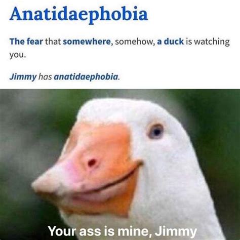 Anatidaephobia - Meme by Bolt93 :) Memedroid