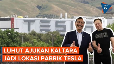 Luhut Tawarkan Kalimantan Utara Sebagai Lokasi Pabrik Tesla Pada Elon