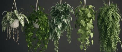 Premium AI Image | 5 Green Hanging Plants with Unique Foliage Perfect ...