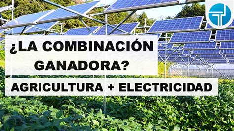 Qu Es La Agrovoltaica Agricultura Electricidad Solar Youtube