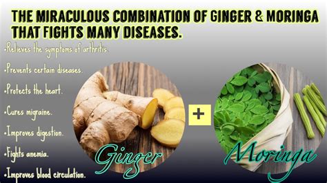 The Miraculous Combination Of Ginger Moringa That Fights Many