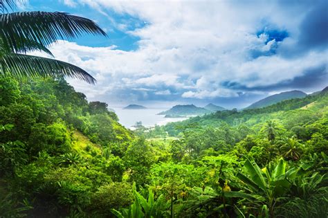 Morne Seychellois Nationalpark Auf Mahé Seychellen Franks Travelbox