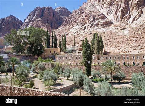 Trees And Gardens Of Saint Catherine Monastery Mount Sinai Egypt