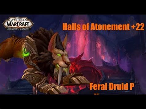 World Of Warcraft Shadowlands Halls Of Atonement 22 Feral Druid PoV 9