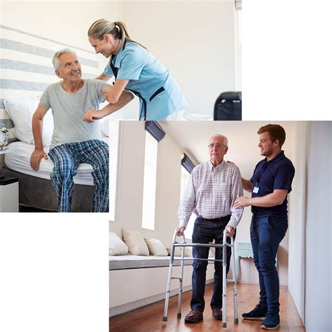 Best Aged Care Courses In Sydney Star Training Australia