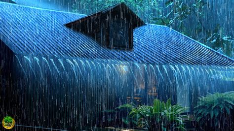 Dormir R Pido Y Profundamente Con Sonido De Lluvia Relajante En Techo